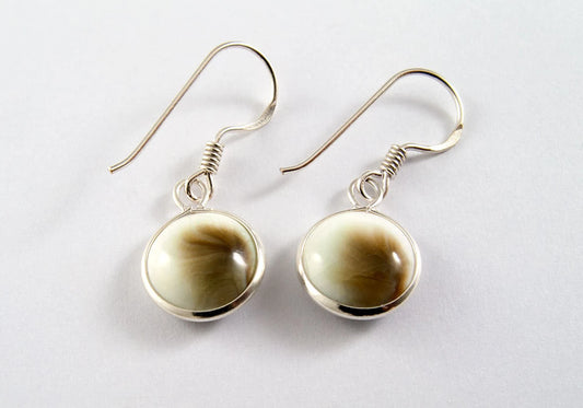Round Shiva Eye Shell 925 Sterling Silver Hook Earring 10mm