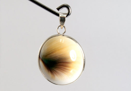 Big Oval Shiva Eye Shell with 925 Sterling Silver Bail Pendant
