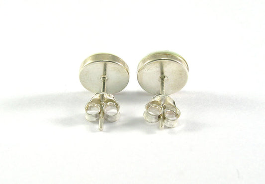 Oval Shiva Eye Shell Sterling Silver Stud Earrings 6x8mm