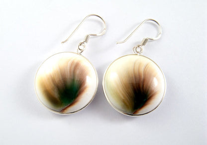 Round Shiva Eye Shell with 925 Sterling Silver Hook Earring 20mm