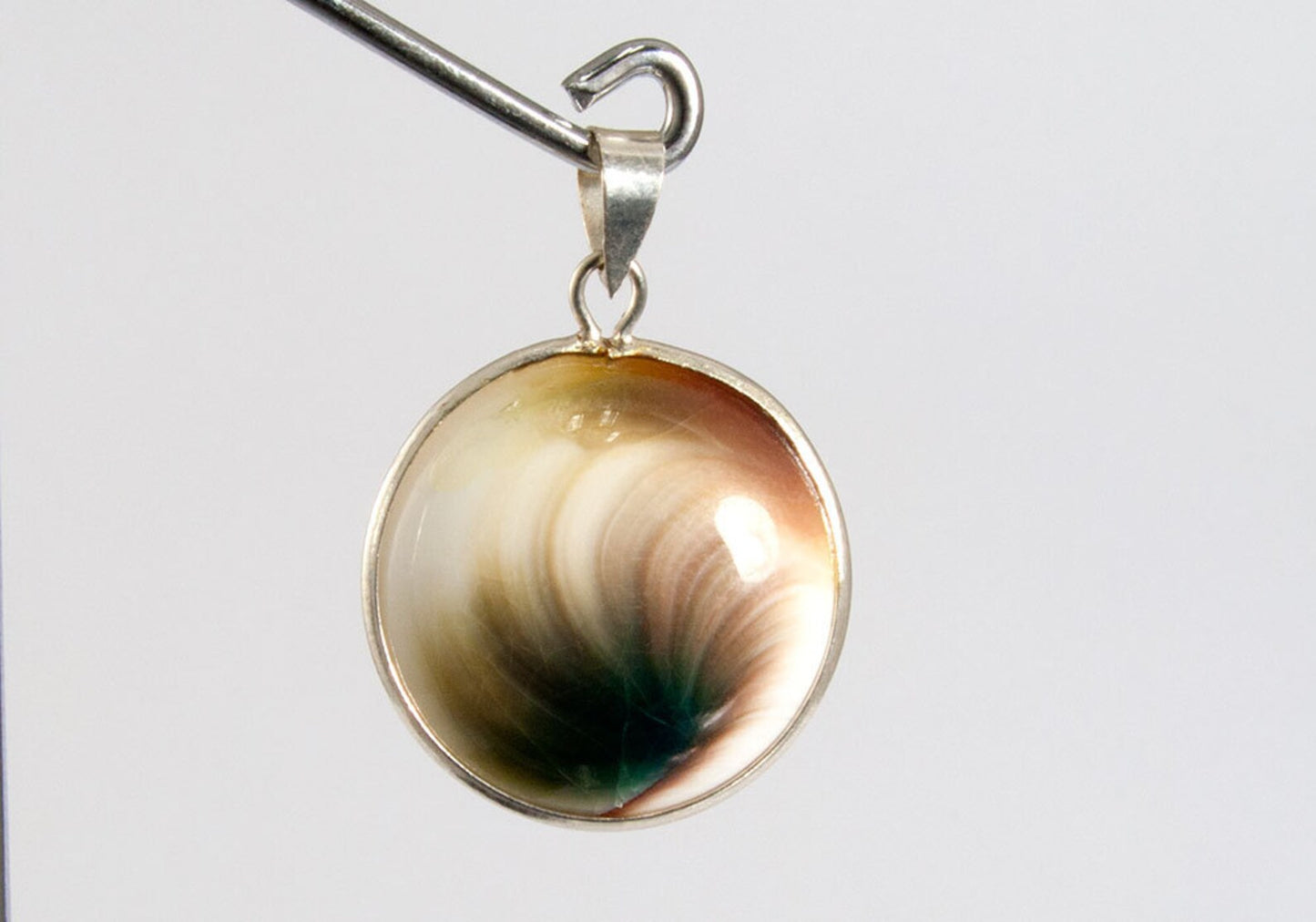 Round Shiva Eye Shell with 925 Sterling Silver Bail Pendant 12mm