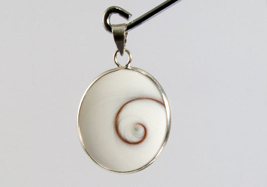 Big Oval Shiva Eye Shell with 925 Sterling Silver Bail Pendant